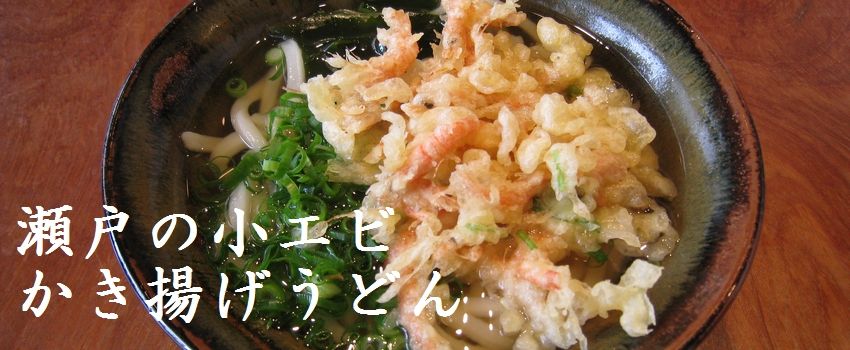 瀬戸の小エビかき揚げうどん