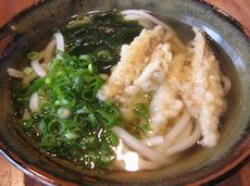 ごぼう天うどん